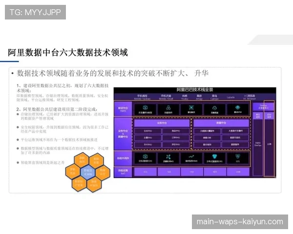 联盟数据中台向教练组开放的数据治理规范 联盟数据中台向教练组开放的数据治理规范